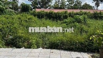 Đất nền đẹp thổ cư hết đất ODT
