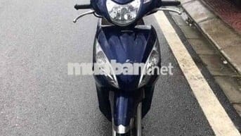 vision zin chất gấu xe như hình