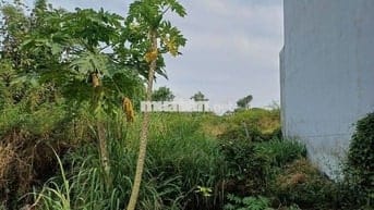 Cần bán lô đất chính chủ giá 420tr DT 68m2, phường Tân Phong, Biên Hoà
