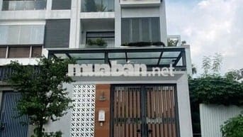 Cho thuê nhà hẻm 343/2B Nguyễn Trọng Tuyển Phường 1 quận Tân Bình.