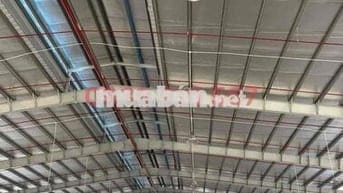 GIỚI THIỆU:   CHO THUÊ NHÀ XƯỞNG TRONG KHU CÔNG NGHIỆP ( FDI )