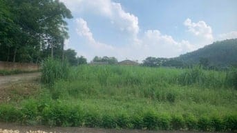 Bán đất phân lô khu dân cư chợ Vàng Thanh Sơn Phú Thọ