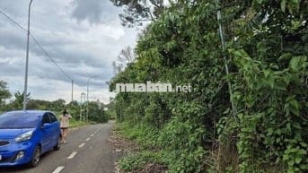 Cần bán gấp lô đất cách đường liên xã Lộc Đức Lộc An 50m.