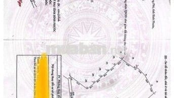 Đất Thị Trấn Tân Phú Đồng Phú Giá Rẽ