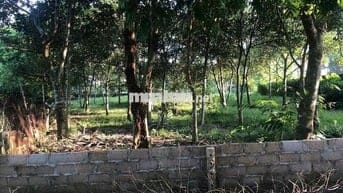 Kẹt Tiền Bán Nhanh 4200m2 Đất Mặt Tiền Kinh Doanh