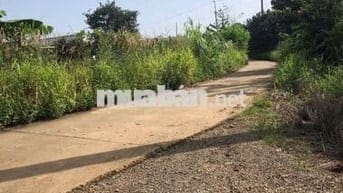 Cần chuyển nhượng gần 1ha đất vườn trồng cây ăn trái