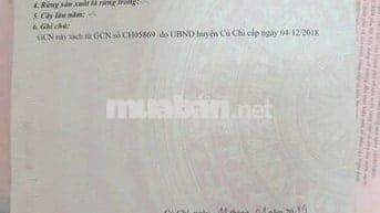Đất cu chi 1,7tỷ- 139 m2
1/ đỗ đăng tuyển,  An Nhơn Tây, Huyện Củ chi