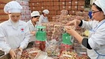 Tuyển dụng 7 tài xế lái xe tải và phụ xe giao hàng tạp hóa( Lào Cai)