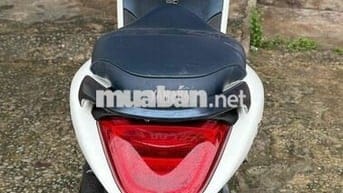 JANUS 2019 Biển thành phố