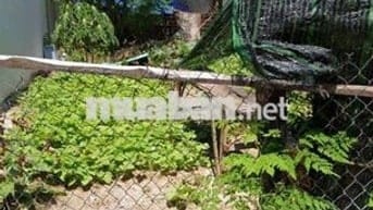Hạ Giá bán đất gần Biển, hẻm Trần Quang Diệu- Bắc Nha Trang