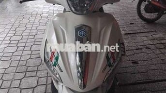 Xe nhập ý
