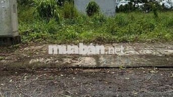 Bán gấp đất Bình mỹ 82m2 chỉ 1,6 tỷ, SHR, HXH