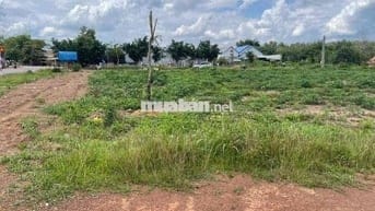 Cần bán lô đất vườn 20x52 hơn 1000m2 bán 290 triệu