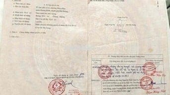 RẺ NHẤT TIỂU TRÀ HƯNG ĐẠO DƯƠNG KINH🔥