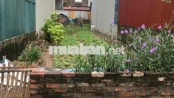 bán mảnh đất tại trung thôn- sát vin cổ loa, ô tô ngủ trong đất