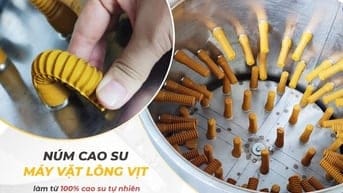 Núm cao su máy vặt lông gà vịt toàn quốc