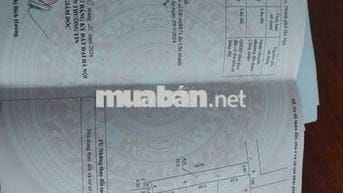 🚀 HIẾM RẺ ĐẸP 👉 ĐẤT BA LĂNG - DŨNGTIẾN- THƯỜNG TÍN - HÀ NỘI ( Chỉ nh