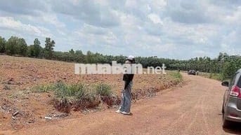 Chú em cần tiền gấp để chữa bệnh cần bán gấp 3000m2 giá 530tr
