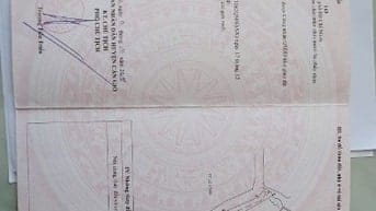 Đất đường xe hơi Duyên Hải, Long Hòa, Cần Giờ: 14.514m2, giá 8,5tr/m2