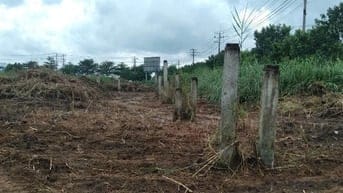 Nhận xây theo yêu cầu, cho thuê kho xưởng , trong KCN Tân Đô ,Tây Ninh