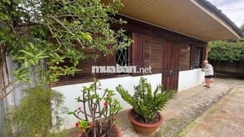 Nhà thổ cư 369m² Phan Chu Trinh – Lộc Tiến, gần Nhà thờ Tân Hà, 3.2 tỷ