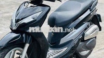 SYM shark biển 71