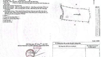 Bán đất ở nông thôn và trồng cây lâu năm 