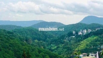 Đất nền có vị trí tại Đường Khe Sanh, Phường 10, Đà Lạt, Lâm Đồng.