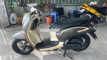 scoopy 2023