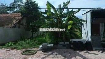 Cần ra nhanh miếng đất mặt tiền đường hương lộ 11-B.Chánh 85m-SHR