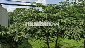 Bán đất cưới vợ SHR Liên Ấp 2-6 Vĩnh lộc a Bình Chánh 825tr 80m2