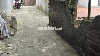 🚨 BÁN ĐẤT PHỐ YÊN – TIỀN PHONG, MÊ LINH 🚨  📐 Diện tích: 61m2 full thổ