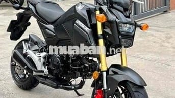 Honda Msx 125 zin  đẹp chính chủ mới về