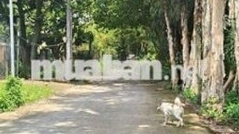 Mặt tựa sông lưng tựa núi  phong thủy tốt 👍