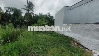 Bán đất thổ cư cầu sà no cạn nhơn nghĩa phong điền