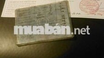 Ban xe mio clacsico màu nâu trắng