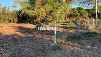 Đất lớn phủ hồng có thổ cư đường ô tô KDC xã Dầu Giây