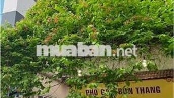Hợp tác/Sang nhượng quán Phở hơn 20 năm trên mặt phố Đào Tấn, Ba Đình