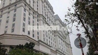 Chính chủchothuê vănphòng tòa D2-giảng Võ Ba Đình HN diện tích 20-120m
