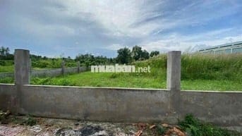 Cần bán gấp đất MTĐ Mậu Thân 2, P3,Vĩnh Long 120m2 SH riêng