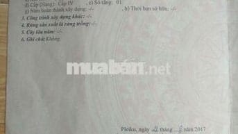 Cần Bán đất Vị Trí Đắc Địa 2 Mặt Tiền Phường Ia Kring, Pleiku, Gia Lai