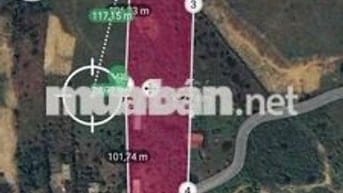 chào bán lô đất nhà vườn hoà bắc diện tích 8000m