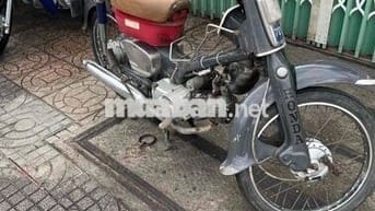 bạn cup 70 có đề biển số 65