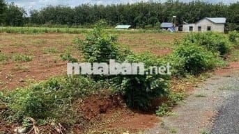 Long Hà Bình Phước 370m2, mặt tiền đg 18m, gần 2 KCN hỗ trợ vay 70%