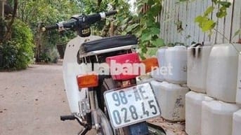 xe Cub cho học sinh và người chưa có bằng lái ạ