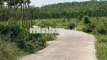 🏡Bán đất đô thị _ 600tr còn thương lượng 💸💸