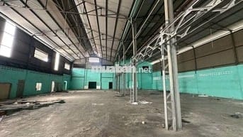 Cho thuê kho  Bùi Cẩm Hổ, phường Tân Thới Hòa, Tân Phú_DT: 1.100m2