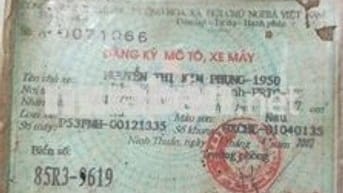 Bán gấp xe Dream