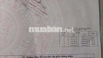Bán nền biệt thự,kdc 47 mẫu, xã An Phú Tây. Giá bắt ngờ