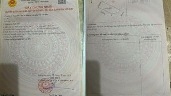 Bán đất thổ cư tại An Hòa, Tam Dương, Vĩnh Phúc 